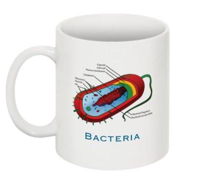 "Bacteria Diagram" - Mug | img_1 | Foxx Life Sciences Global | shopfls.com