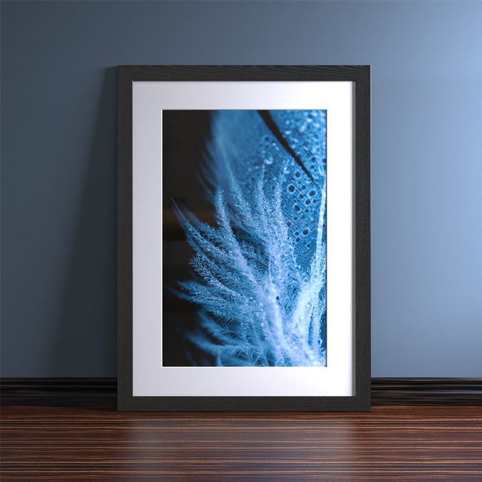 Black picture frame with white mount displaying an abstract blue feather print.