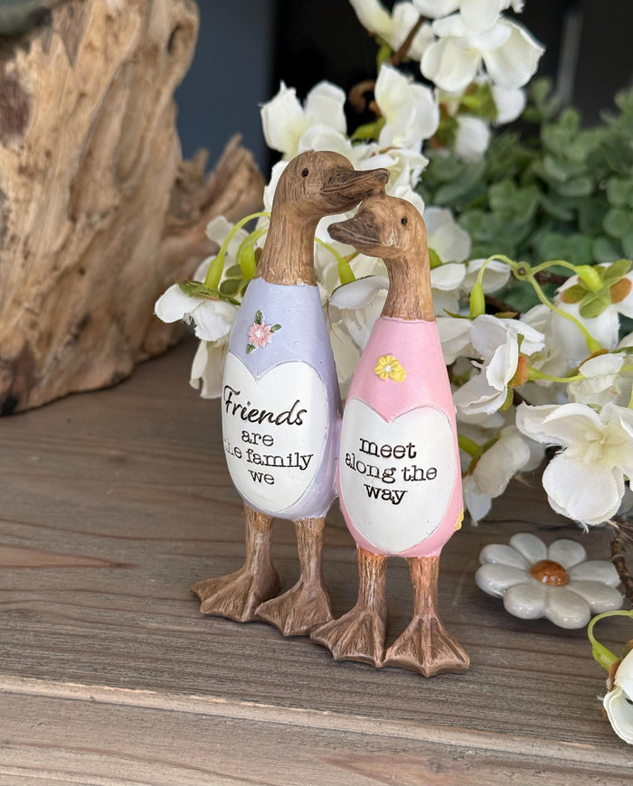 Friend Duck - Friends are Family we Meet