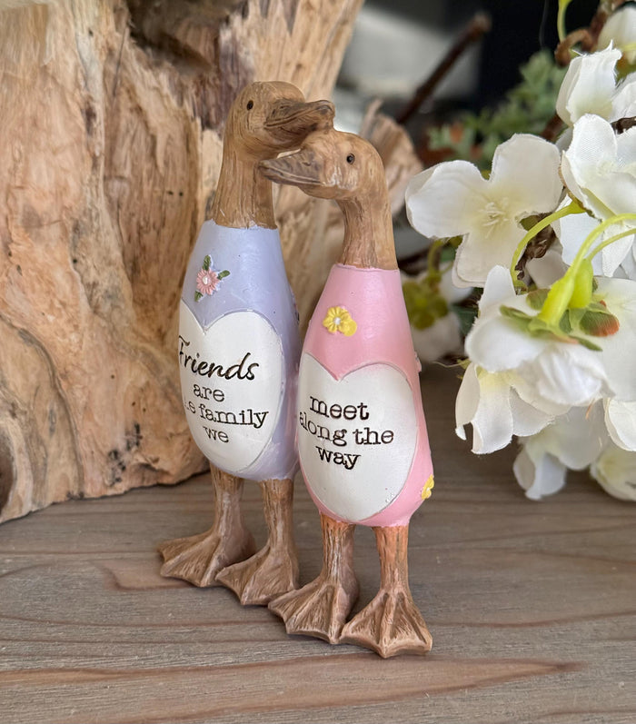 Friend Duck - Friends are Family we Meet