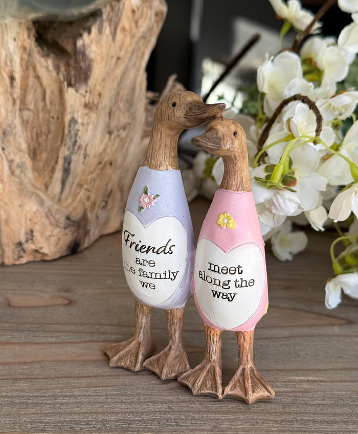 Friend Duck - Friends are Family we Meet