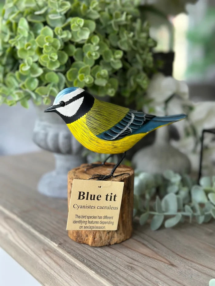 Gorgeous Carved Wooden Blue Tit
