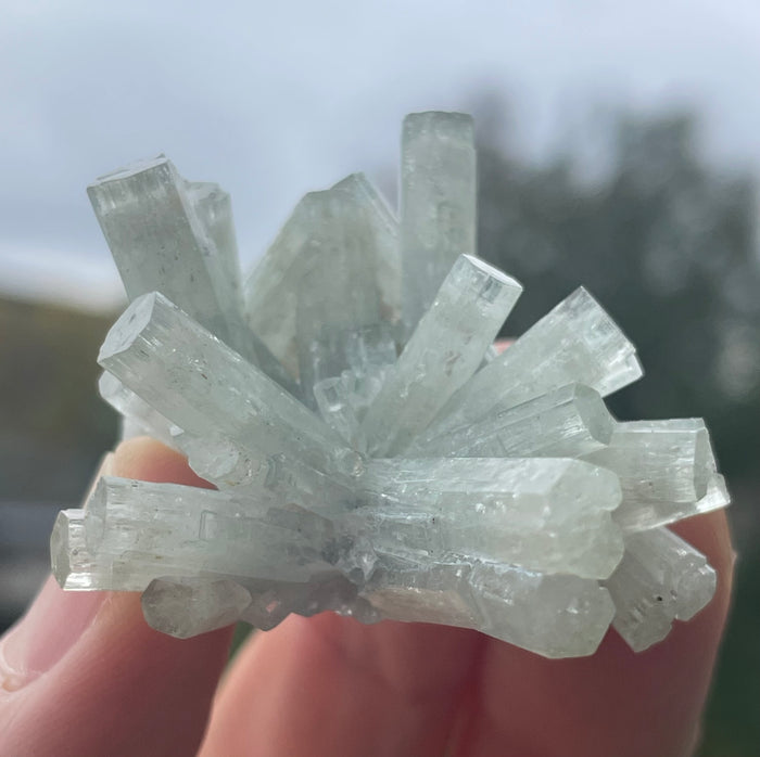 Goshenite Cluster from Erongo Mountain, Erongo Region, Namibia