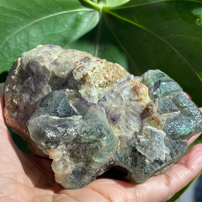 Green and Light Purple Fluorite on Feldspar Matrix with Mica and Black Tourmaline, Erongo Region , Namibia, Namibian Mineral