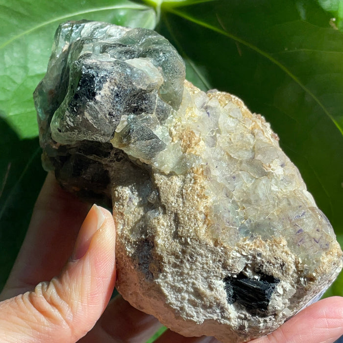 Green and Light Purple Fluorite on Feldspar Matrix with Mica and Black Tourmaline, Erongo Region , Namibia, Namibian Mineral