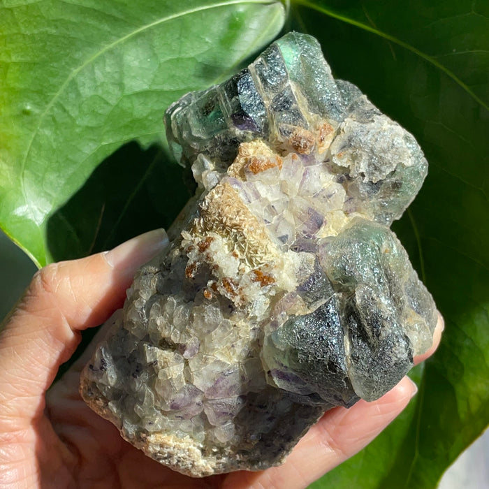 Green and Light Purple Fluorite on Feldspar Matrix with Mica and Black Tourmaline, Erongo Region , Namibia, Namibian Mineral