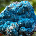 Fibrous Blue Shattuckite, Mesopotamia Copper Valley, Kunene, Namibia, African Mineral Specimen