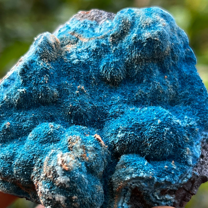 Fibrous Blue Shattuckite, Mesopotamia Copper Valley, Kunene, Namibia, African Mineral Specimen