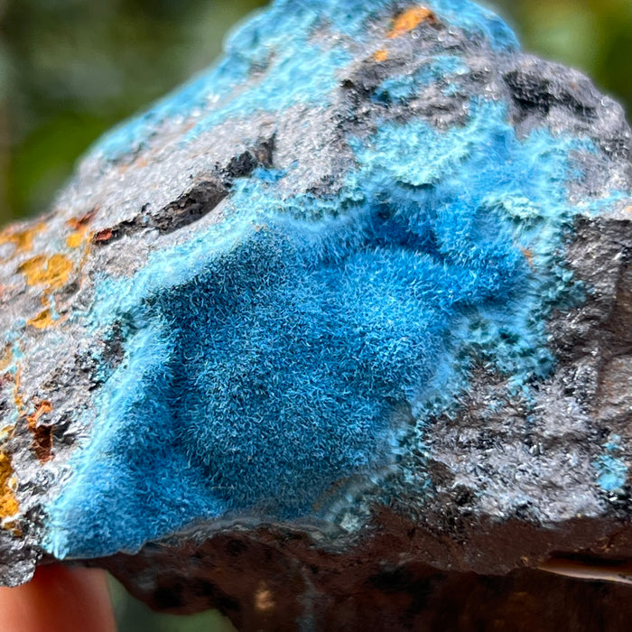 Fibrous Blue Shattuckite, Mesopotamia Copper Valley, Kunene, Namibia, African Mineral Specimen