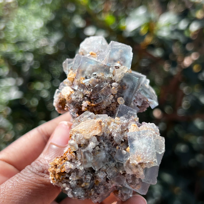 Fluorite and Barite, Okorusu Mine, Namibia