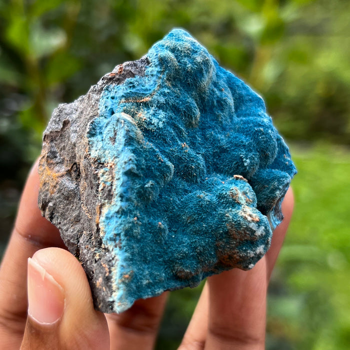Fibrous Blue Shattuckite, Mesopotamia Copper Valley, Kunene, Namibia, African Mineral Specimen