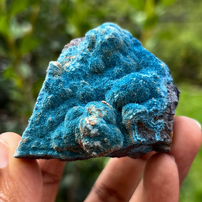 Fibrous Blue Shattuckite, Mesopotamia Copper Valley, Kunene, Namibia, African Mineral Specimen