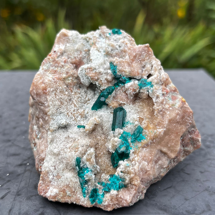 Self-Standing Dioptase on Matrix, Mineral Specimen from Kunene Region, Namibia, Africa