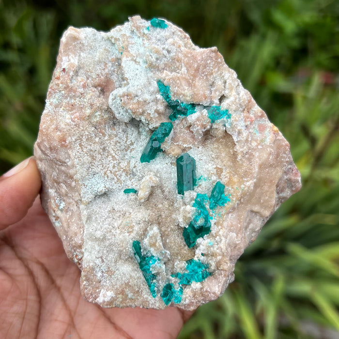 Self-Standing Dioptase on Matrix, Mineral Specimen from Kunene Region, Namibia, Africa