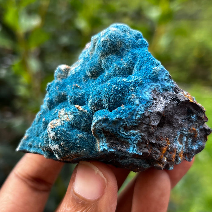Fibrous Blue Shattuckite, Mesopotamia Copper Valley, Kunene, Namibia, African Mineral Specimen