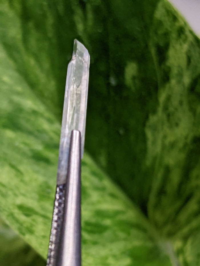 Jeremejevite, Mineral Specimen from Amieb Ranch, Usakos, Erongo Region, Namibia