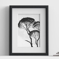 Minimo Range Black picture frame with white mount, close view