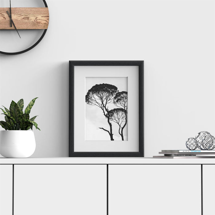 Black picture frame with white mount showcasing a black and white photo of trees on minimalist shelf.