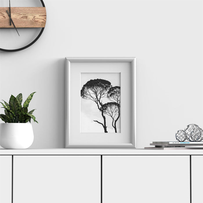Silver picture frame with white mount displaying a black and white tree art photo on a modern shelf.