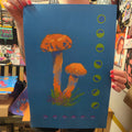 Mushrooms Vertical POSTER