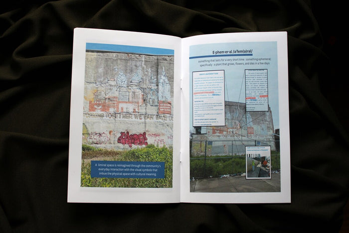 Posted! Graffiti and Memes ZiNE