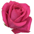 Rose Topaz