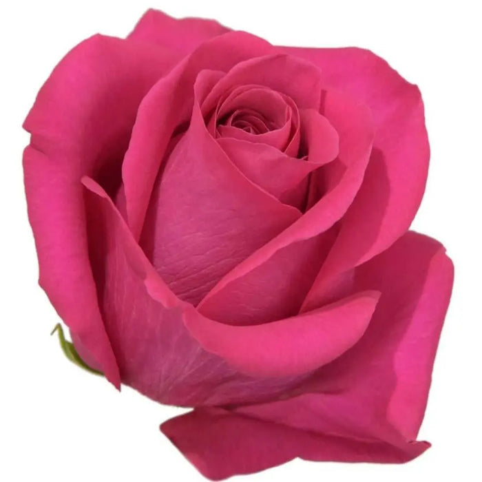 Rose Topaz