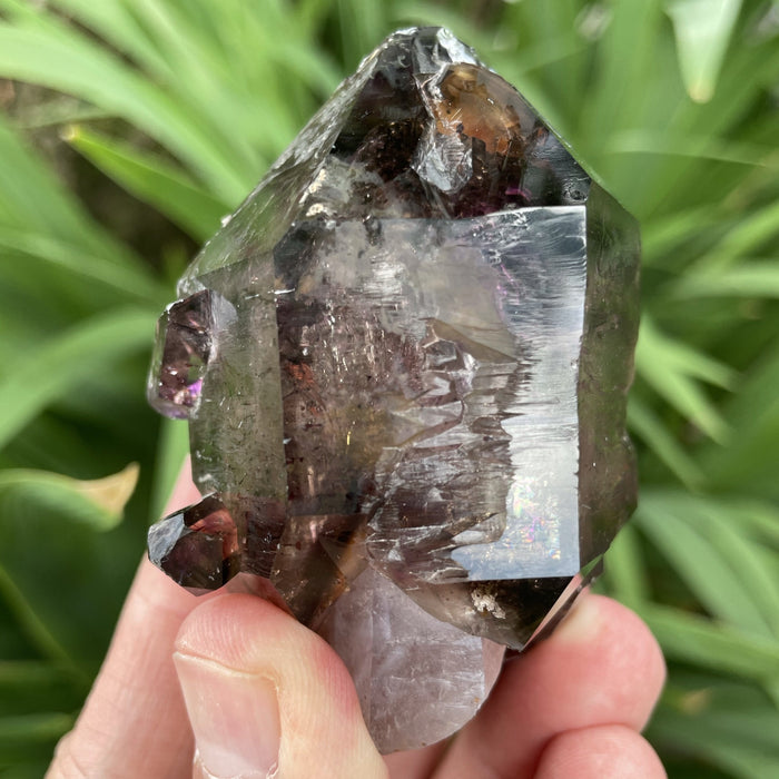 Shangaan Amethyst