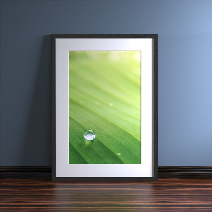 Black picture frame with white mount showcasing a leaf photo with water droplet, elegant gallery-style display.