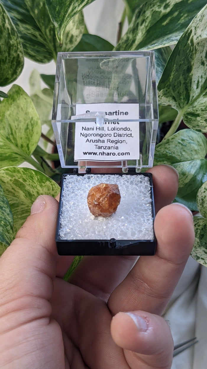 Spessartine Garnet, Mineral Specimen from Nani Hill, Loliondo, Ngorongoro District, Arusha Region, Tanzania