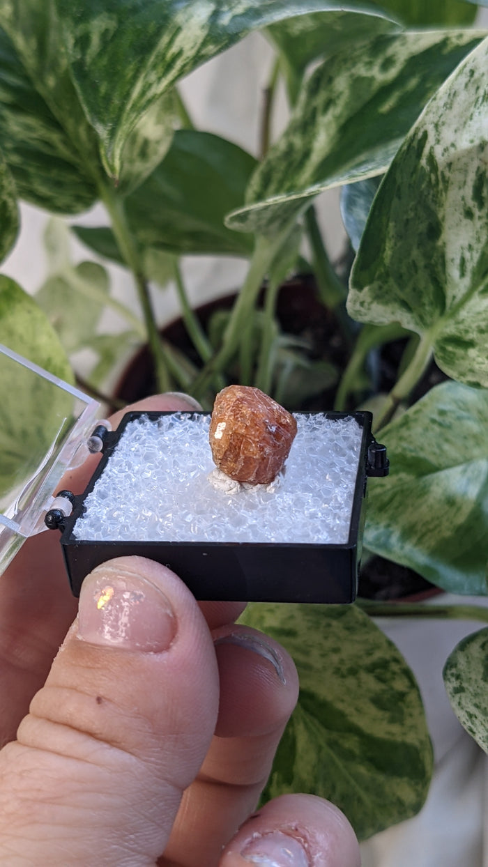 Spessartine Garnet, Mineral Specimen from Nani Hill, Loliondo, Ngorongoro District, Arusha Region, Tanzania