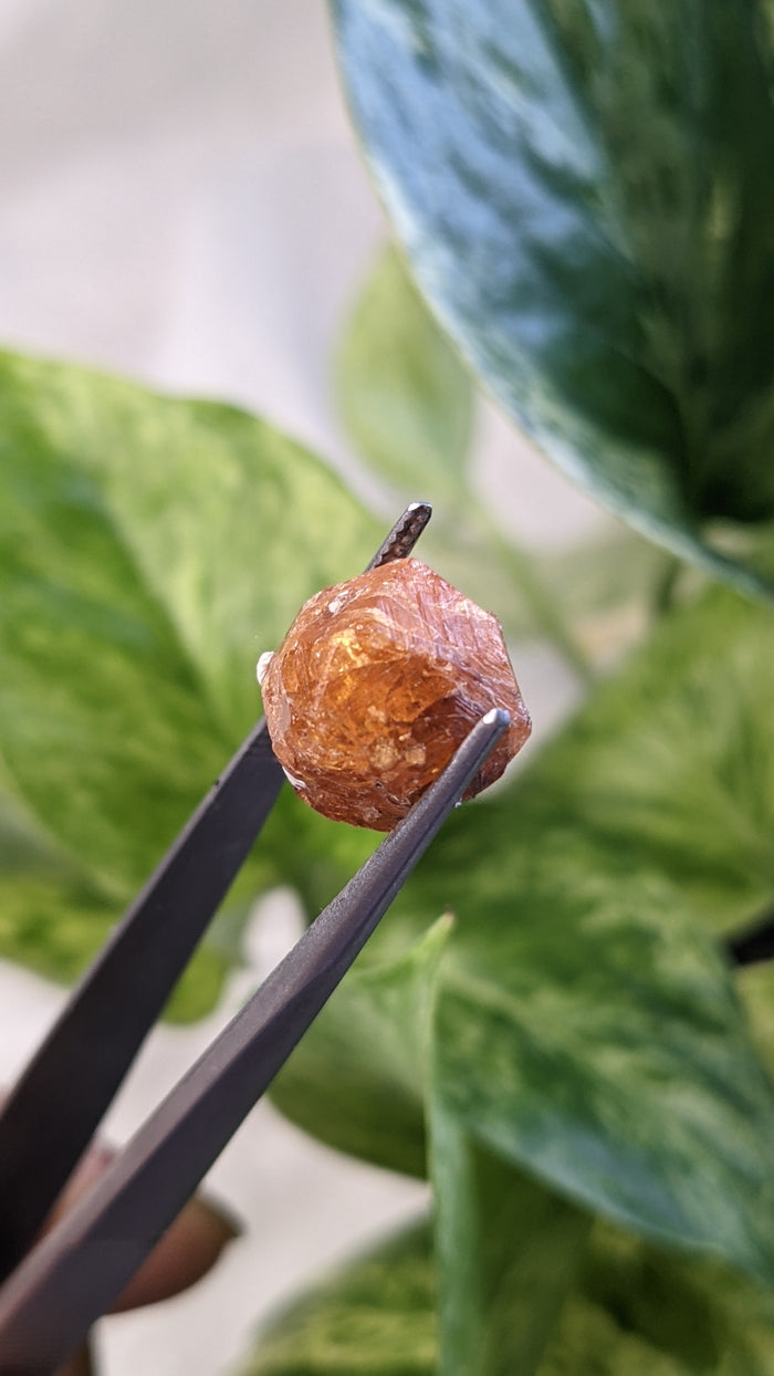 Spessartine Garnet, Mineral Specimen from Nani Hill, Loliondo, Ngorongoro District, Arusha Region, Tanzania