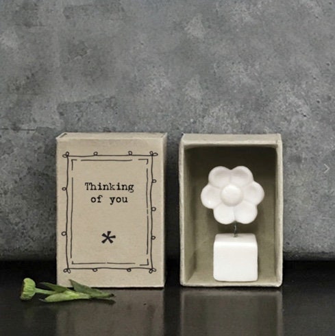 Thinking of you - East of India Matchbox Flower