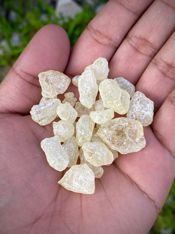 White Copal Incense Resin 30g pack