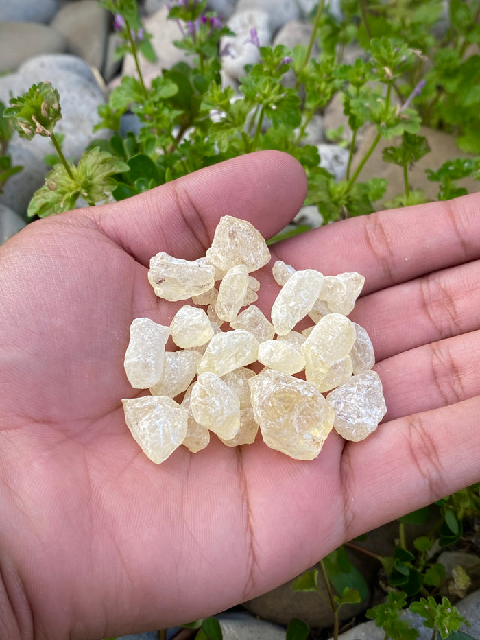 White Copal Incense Resin 30g pack
